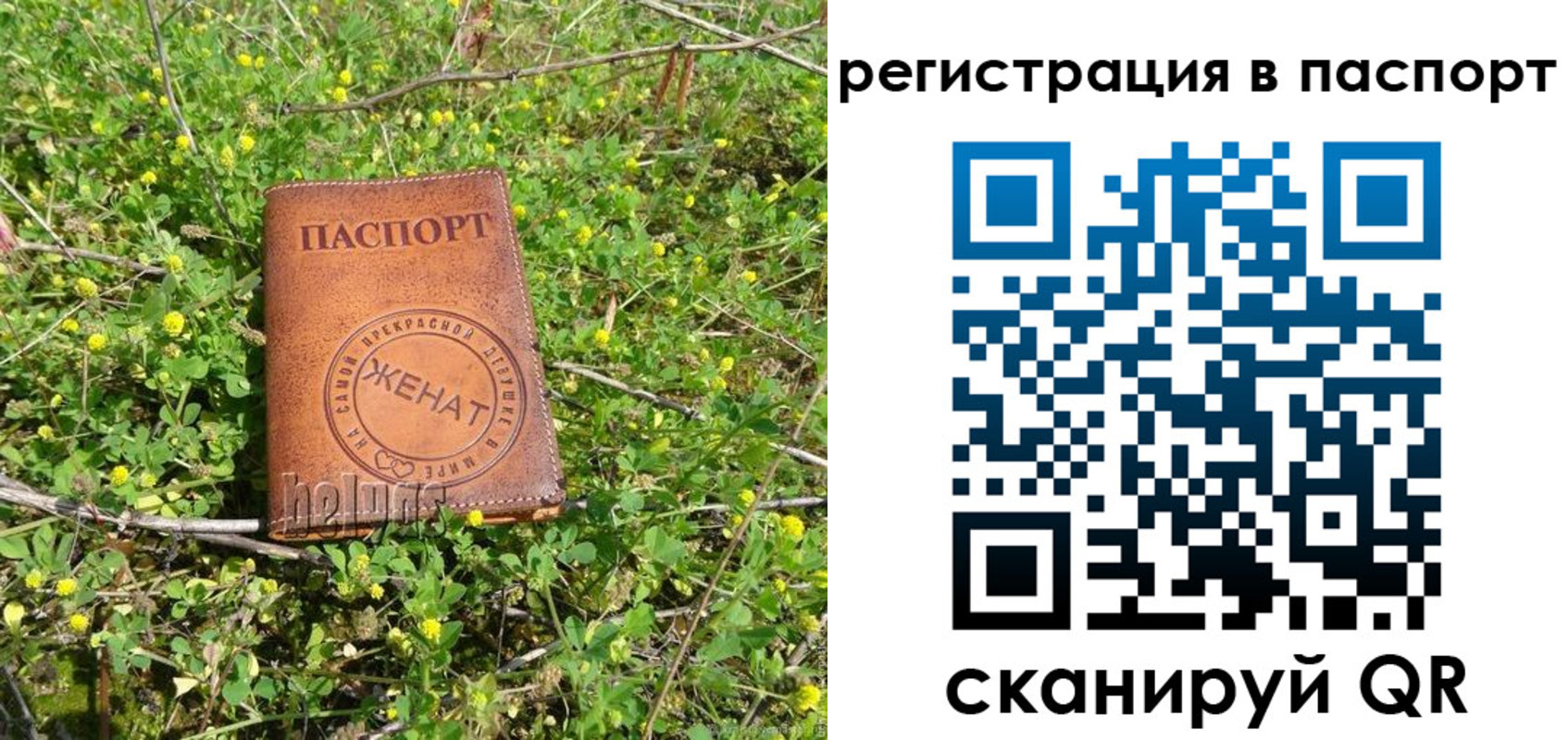 прописка законно в Клинцах